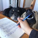 Devon Stringer - @pen_paper_and_tea - Instagram