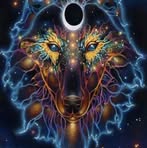 Devin Stringfellow - Facebook