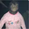 devonstutzman - @devonstutzman111 - TikTok