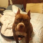Devon swan - @savage1014356swan - Instagram