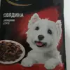 Евгения Андреева - @devonswiftkey2 - TikTok