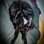 Rick and Summer - @devonrexofswitzerland - Instagram