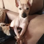 Devon Tatum - @lappareho4 - Instagram