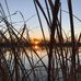 Devin Toney - Facebook