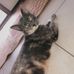 Devon Torres - Facebook