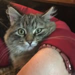 Devon Tracy - @weirdo7tracy - Instagram