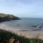 Devon Sea Treasures - @devonseatreasures - Instagram