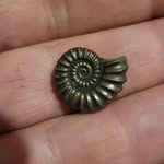 J&G adventures - @devontreasurefinds - Instagram