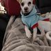 Devan Trevino - Facebook
