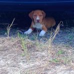 Devon Trimble - Facebook