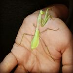 devontunstall - @devontunstall112 - Instagram