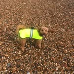 Devon - @devon_charlies_unger_brother - Instagram