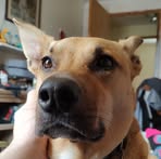 Devin Urquhart - Facebook