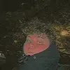 Devin Vance - @devinvance2 - TikTok