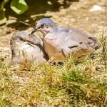 Devona Vogt - @devonavogt - Instagram