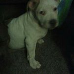 Devon Washington - @devon.washington.357 - Instagram
