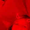 devon_watts - @devon._.watts - TikTok