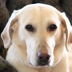 Devon Weeks - @d89weeks - Instagram