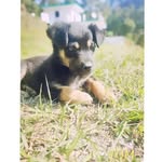 Devon Welsh - @devonwelsh - Instagram