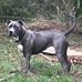 Devon Young - Facebook
