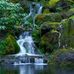 Devonne Johnson Brevard Real Estate - Facebook