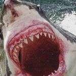 Devonte Wilson - @devonte552 - Instagram