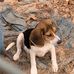 Dwayne Bailey - Facebook