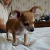 DeWayne Ballard - Facebook