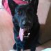 Dwayne Billings - Facebook