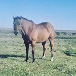 Dewayne Brittain - @dewaynebrittain - Instagram