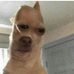 Dewayne Calloway - Facebook