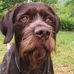Dewayne Carter - Facebook