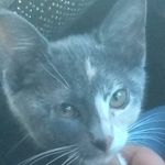 Jesse Dewayne Cunningham - @jc053074 - Instagram