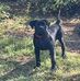 Dewayne Holley - Facebook