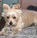 Dewayne Howell - Facebook