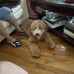 Dwayne Howell - Facebook