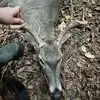 Dewayne Mitchell - @dewayne.mitchell17 - TikTok