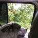 Dewayne Mitchell - Facebook