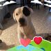 Dewayne Morris - Facebook