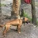 Dewayne Napier - Facebook