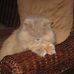 DeWayne Olson - Facebook