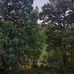Dwayne Randolph - Facebook