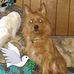 Dewayne Werner - Facebook
