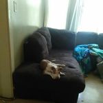 Dewayne Wright - @dewaynewright3927 - Instagram
