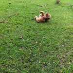 Dewei Wang - @wangdeweiwang - Instagram