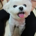 周德偉 - @dewei.zhou - Instagram