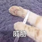 Dewei Zhou - @dewei.zhou.58 - Instagram