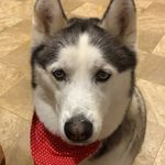 Dewey Barr - @dewey_is_phat - Instagram
