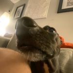 Dewey barrett - @deweybarrett1218 - Instagram
