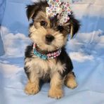 Barton Dewey - Facebook